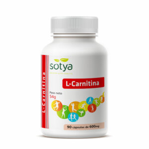 L-CARNITINA 500MG/90 CAP.