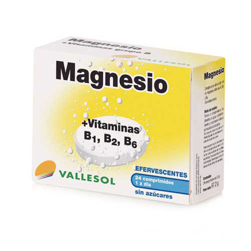VALLESOL MAGNESIO+B EFERV. 24 TAB.