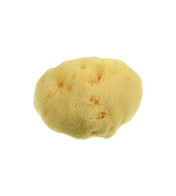 ESPONJA FINE DAMA  10 cm (copia)