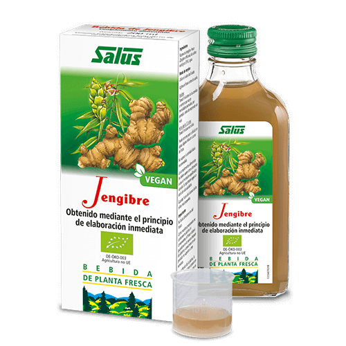 JUGO JENGIBRE ECOLOGICO 200 ML.