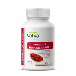 CABELLO Y UÑAS 522 MG. 60 CAPSULAS (copia)